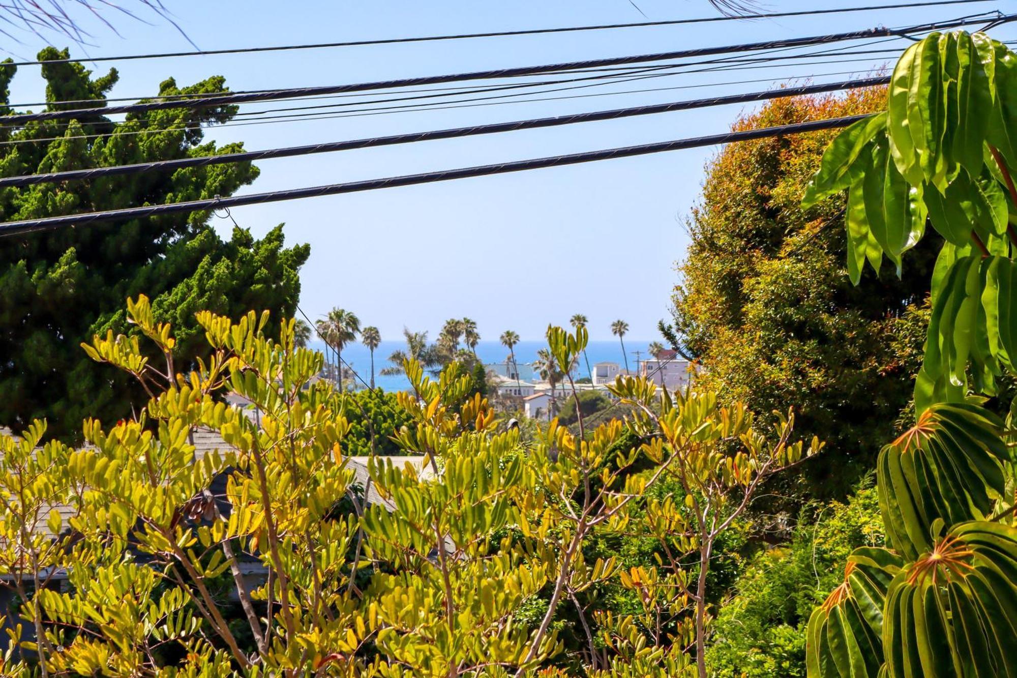 Coral * San Diego